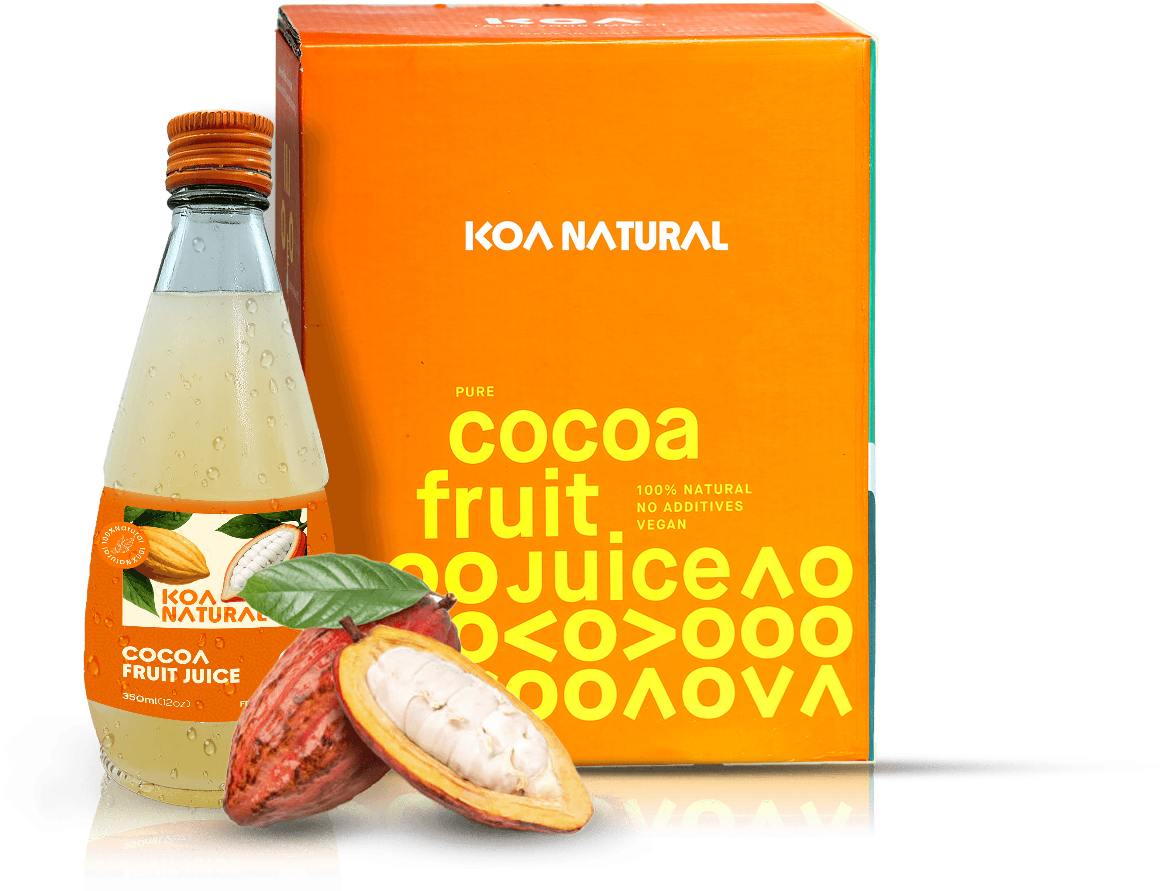 Koa Natural product and cocoa fruit